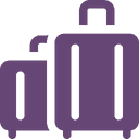 Observed Variation In Price Changes luggage icon